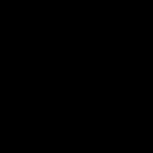 Meet your Posher, Perel